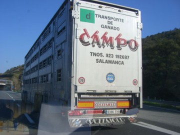 medium_camion5.jpg